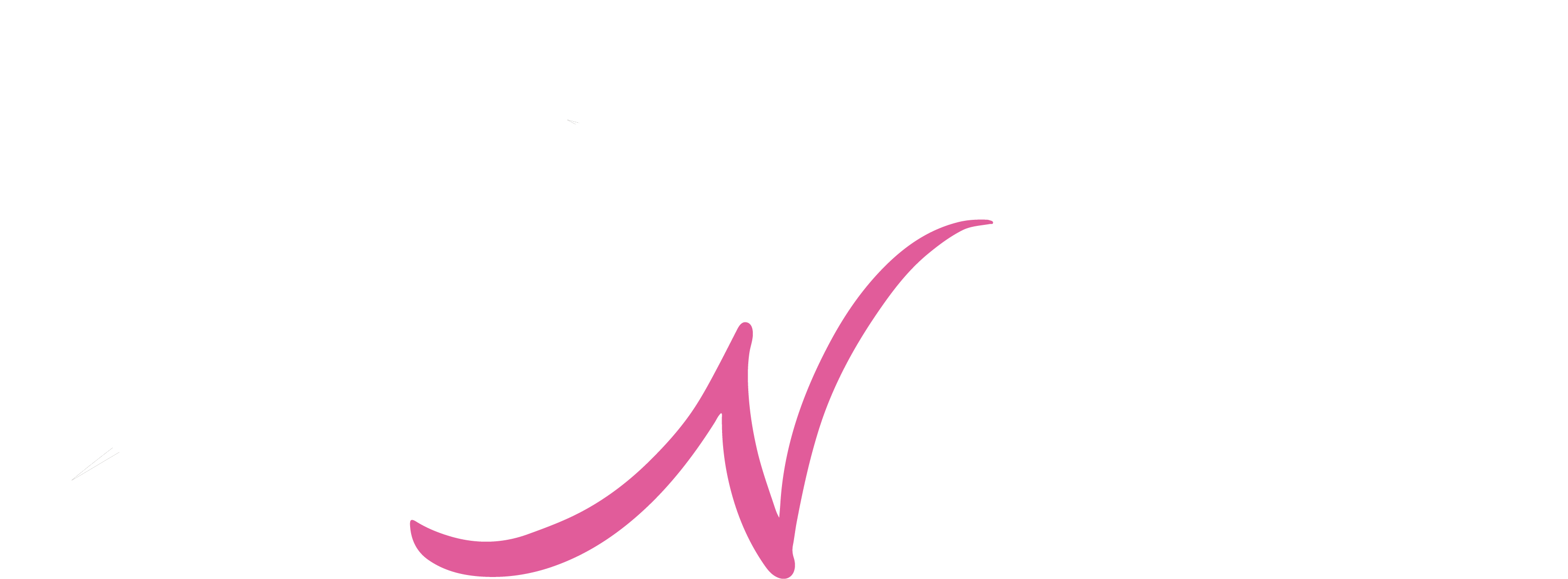 Horse N Balance wit