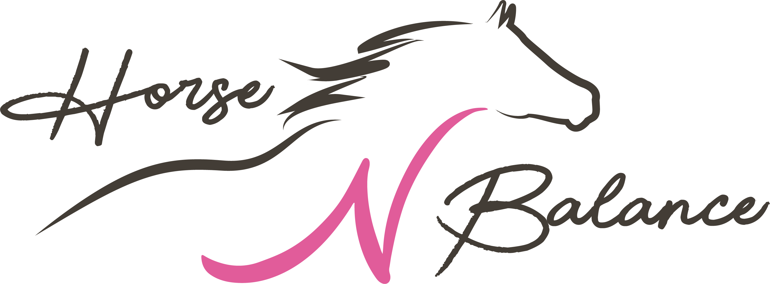 Horse N Balance