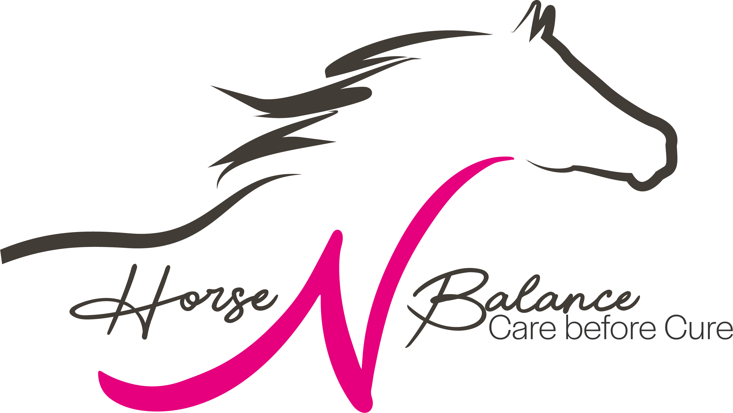 HNB_Logo25_finaal